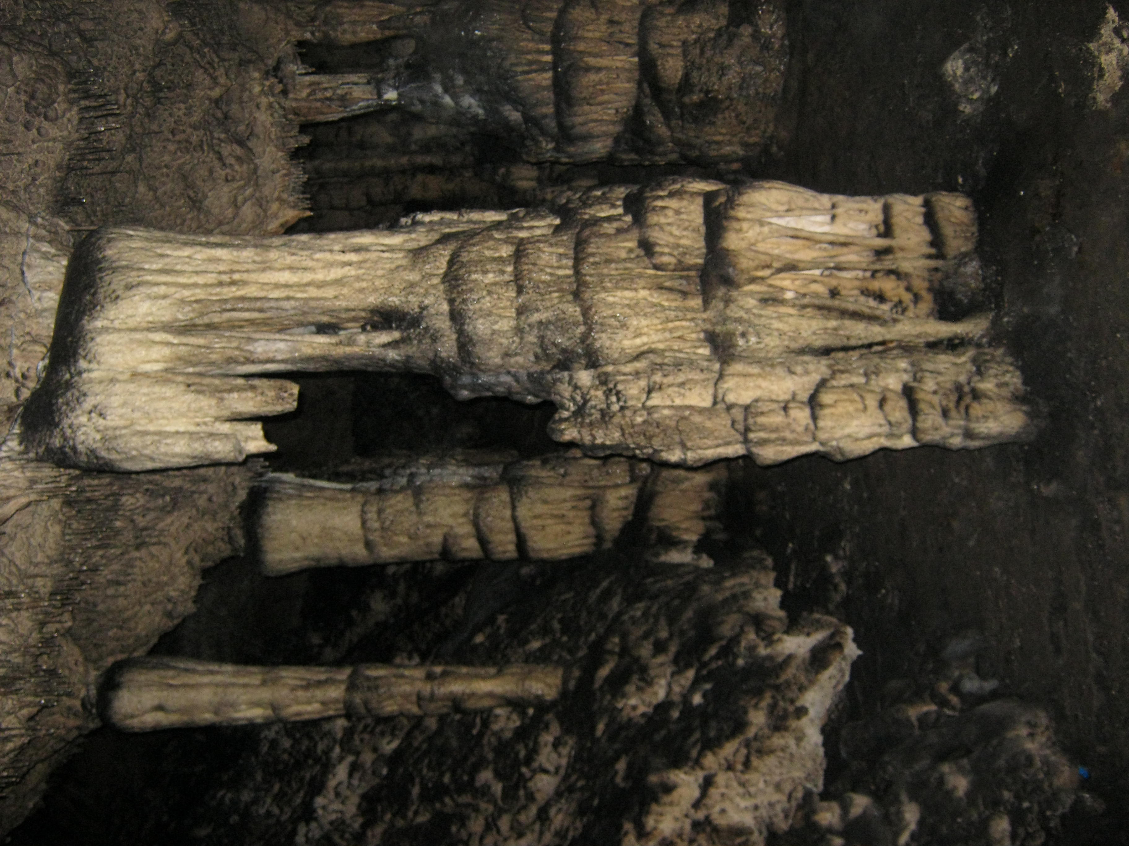 Munticelu. Foto: Lidia Dragomir