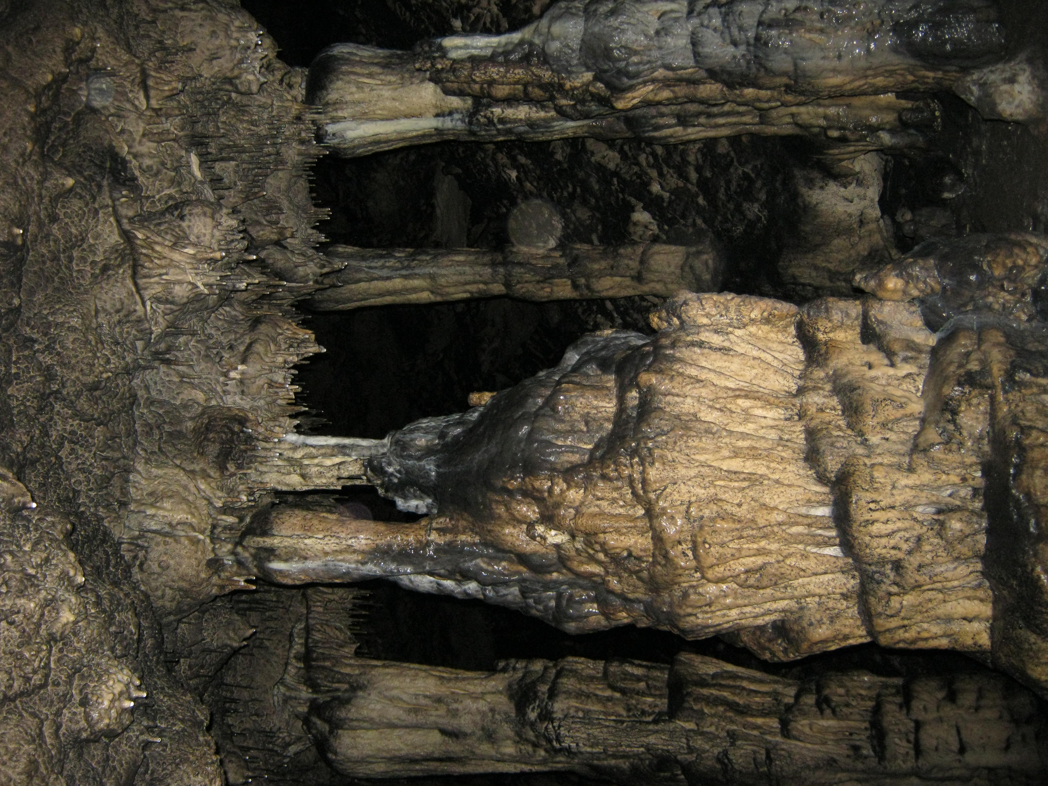 Munticelu. Foto: Lidia Dragomir