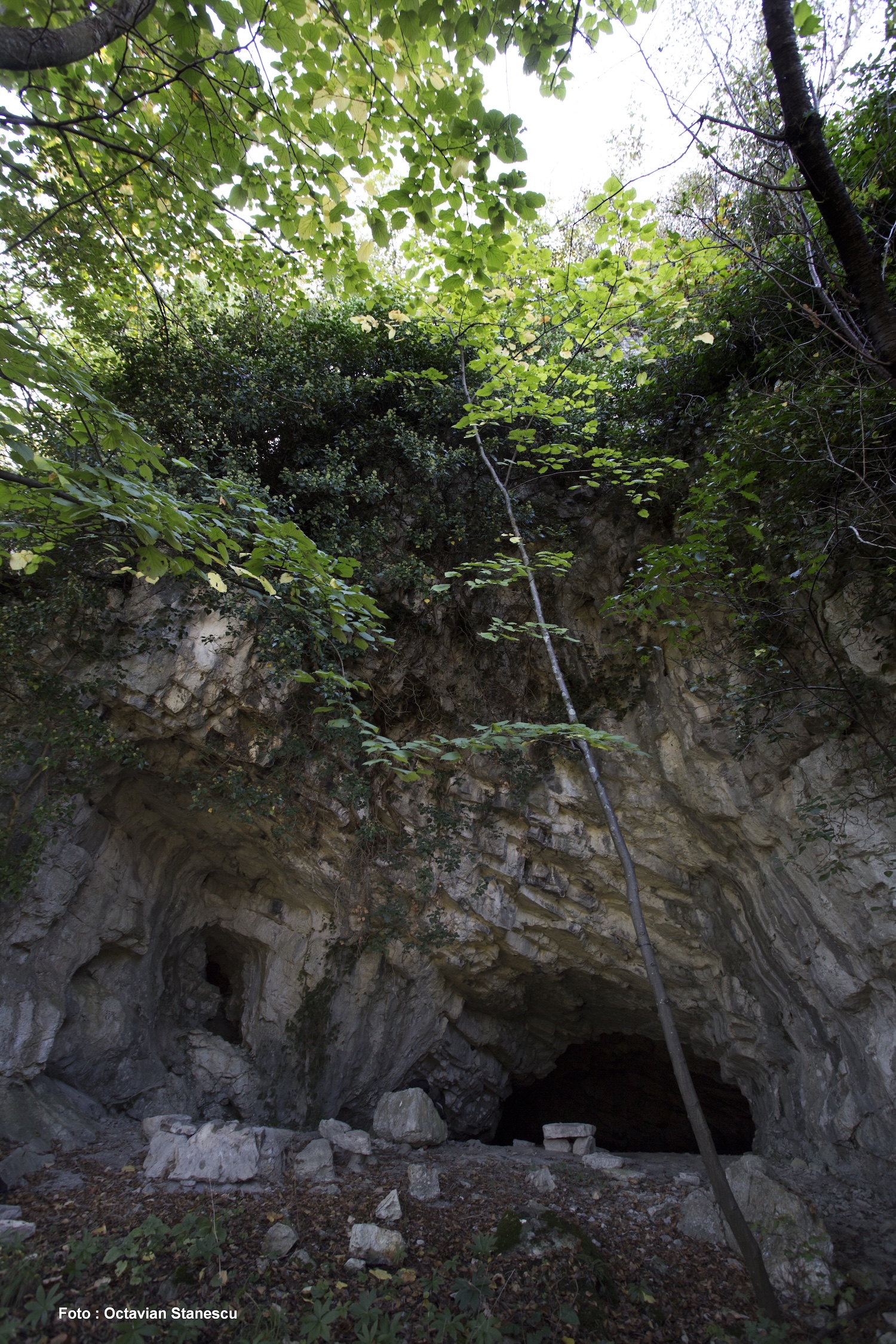 Intrare Pestera 