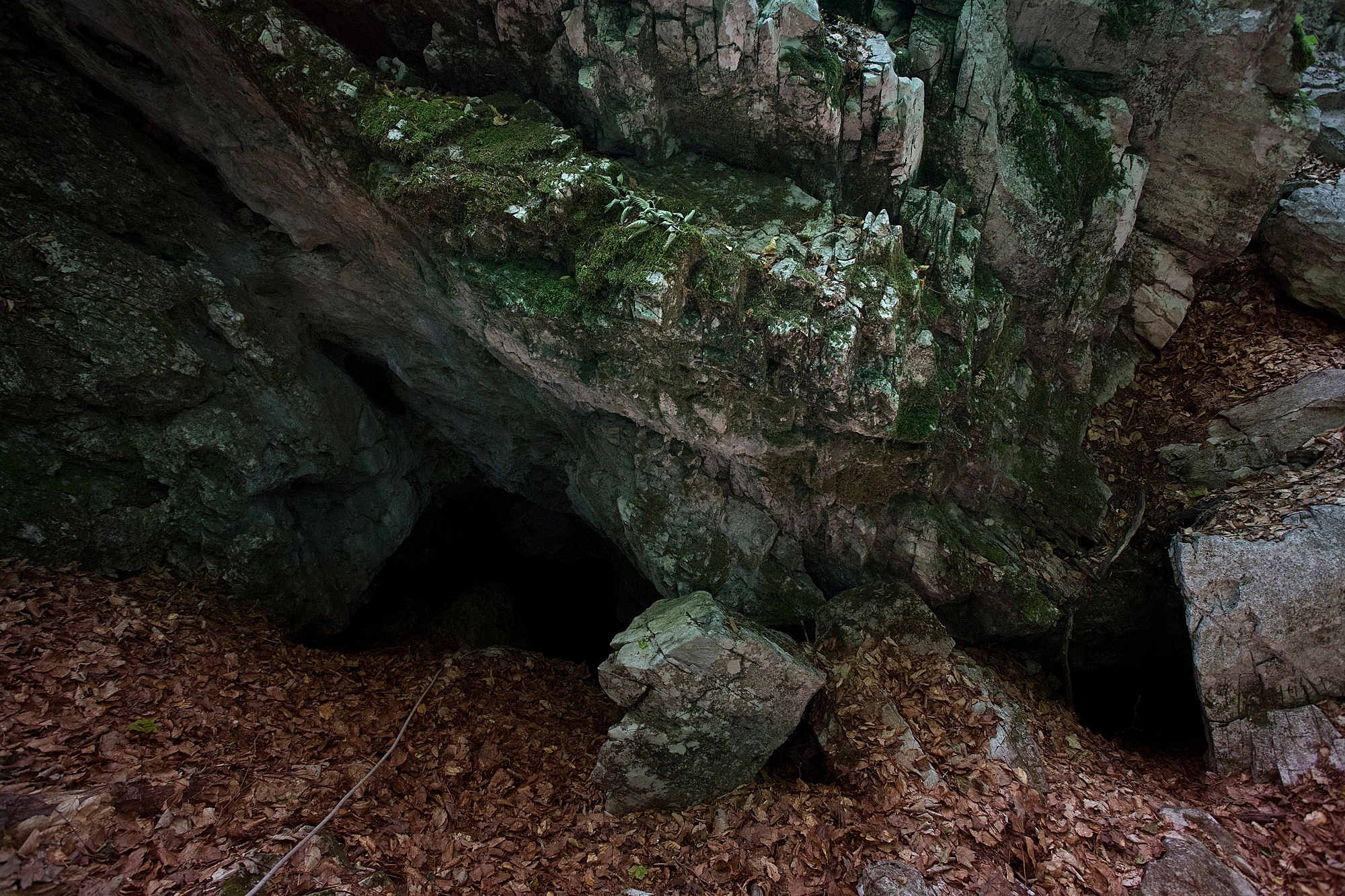 Gaura lui Zdârnă - Foto: O.Stanescu 2017
