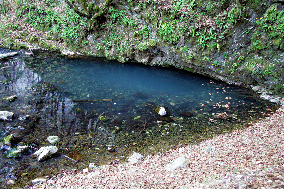 Intrare Izbucul Izbandis - foto: Mihai - Omega Cluj