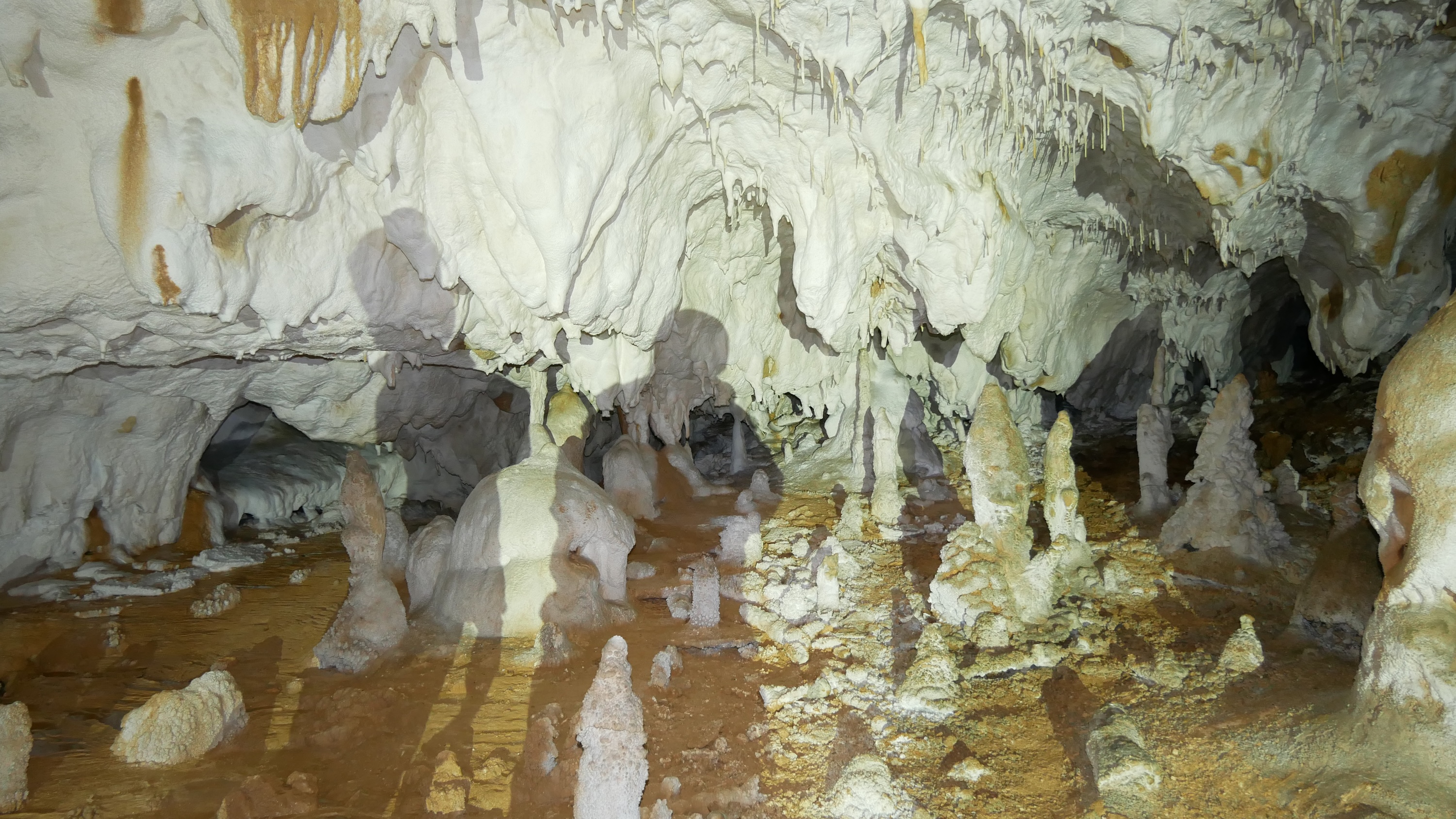 Sistemul Humpleu - Image 3