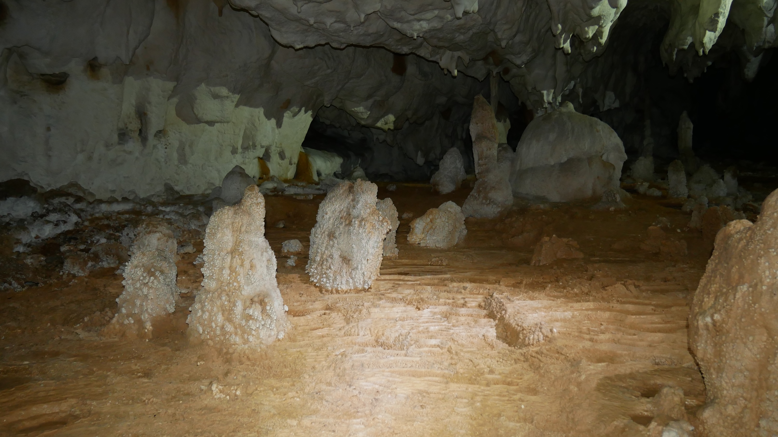 Sistemul Humpleu - Image 6