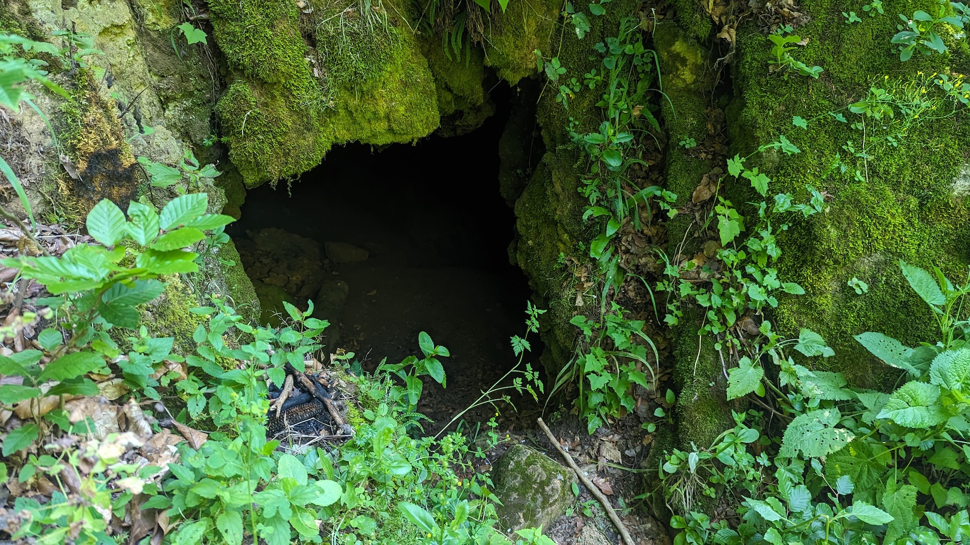 Peştera de la Pietroasa - Image 1