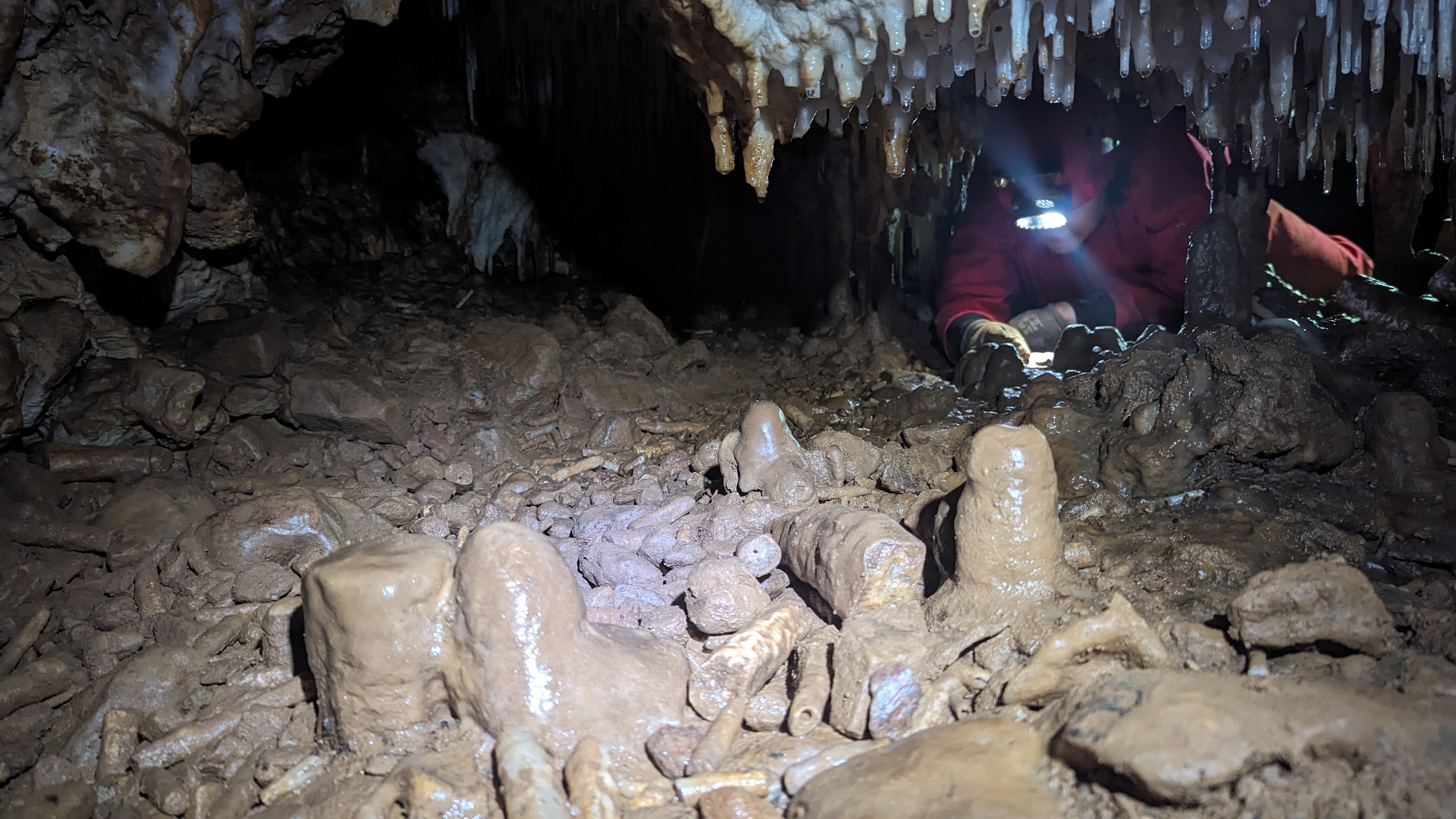 Peştera de la Pietroasa - Image 2