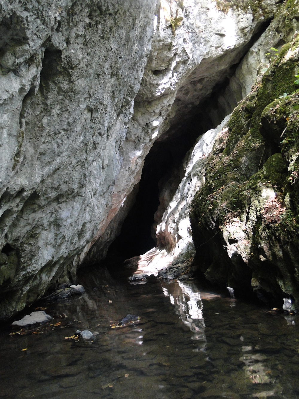 Sistemul Plopa - Ponor - Image 1