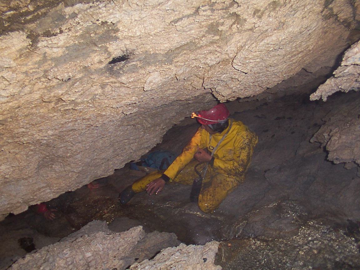 Peştera 1 de la Piscul Negru - Image 5