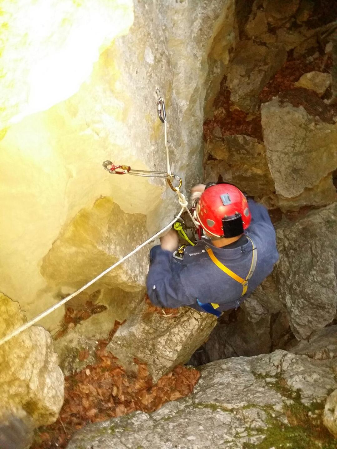 Primele-amaraje, foto Lidia Dragomir