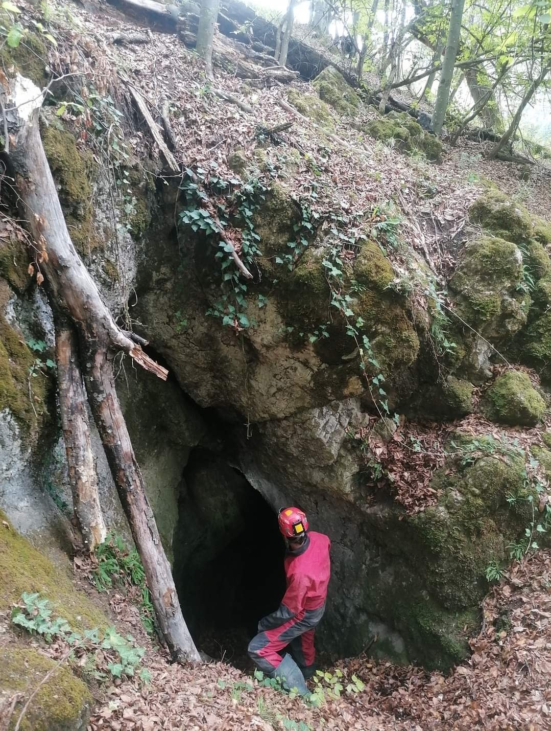 Foto cu intrarea principala