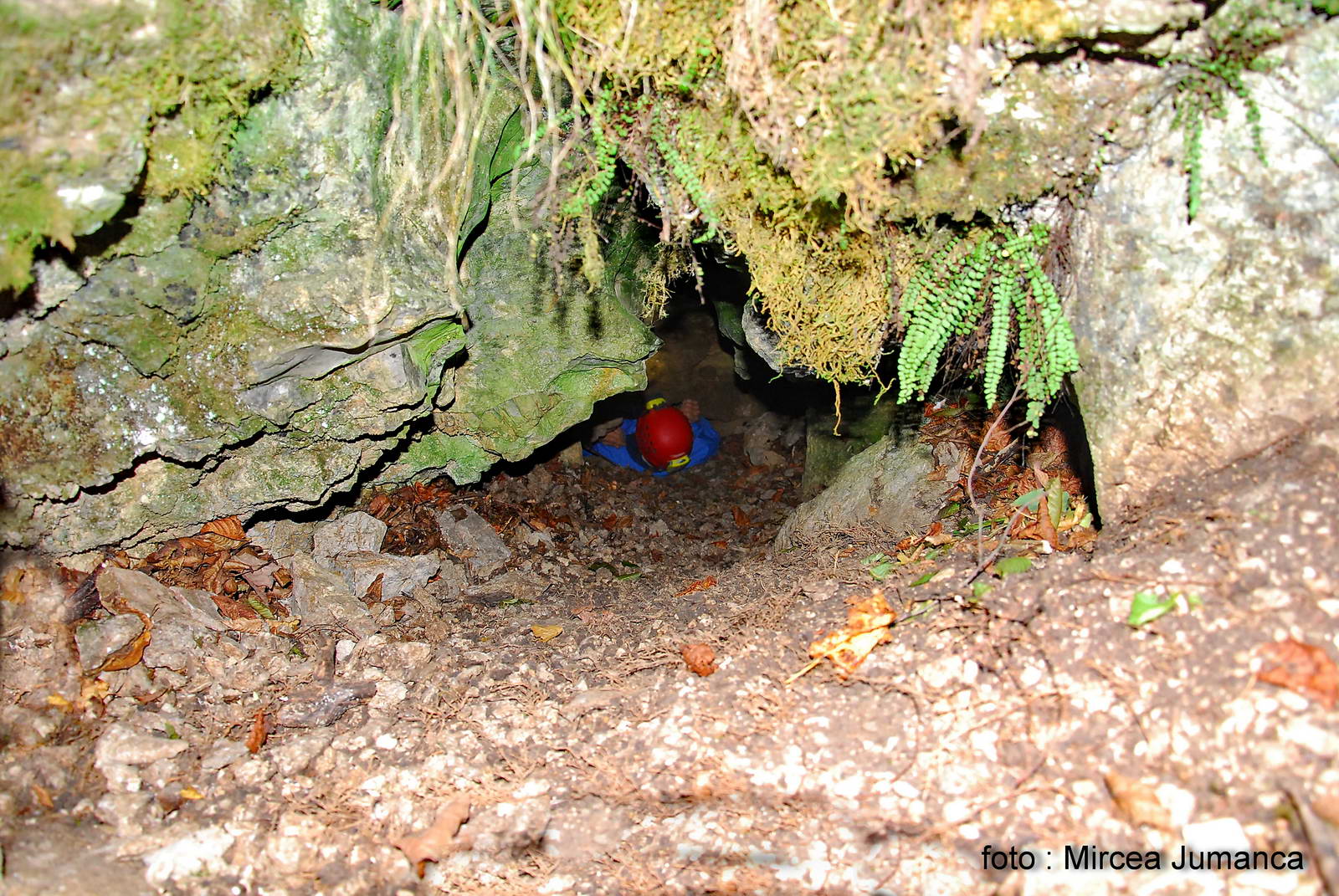 Speologie.org - Foto: Mircea Jumanca