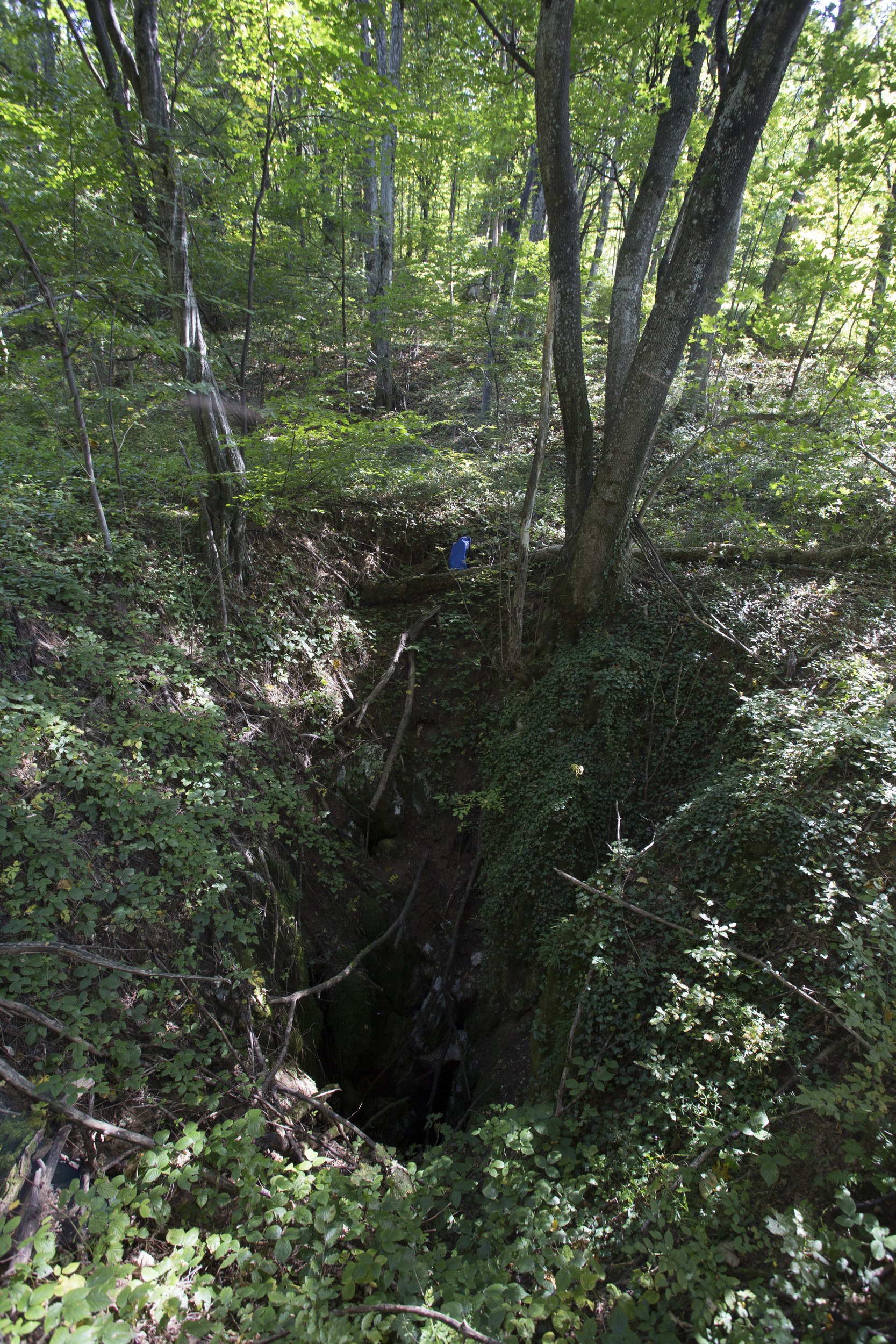 Avenul din Obârşia Chichiregului Mare - foto: Octavian Stanescu
