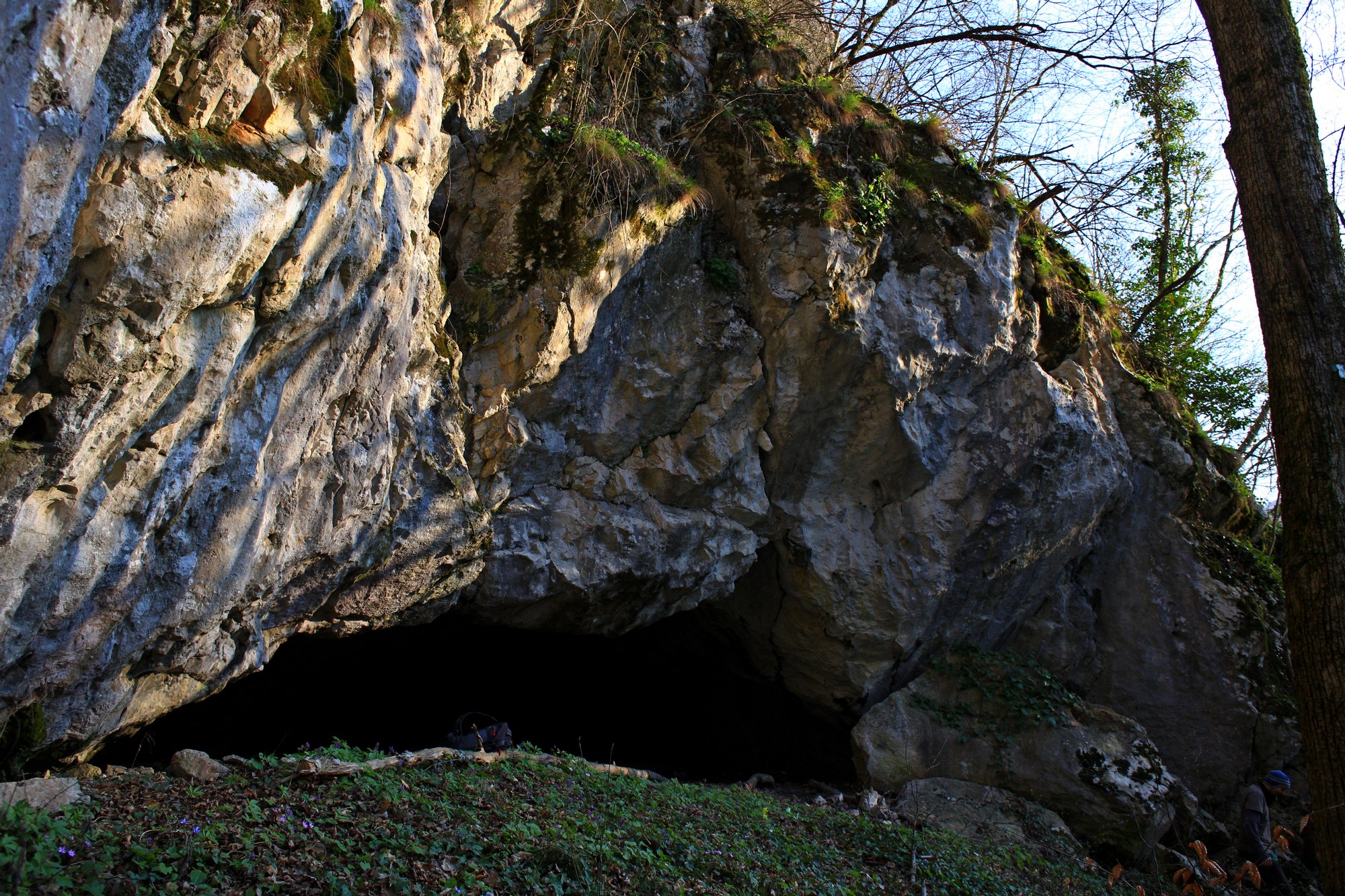 Portal Peștera Cuptorul Porcului - Foto: Stanescu Octavian