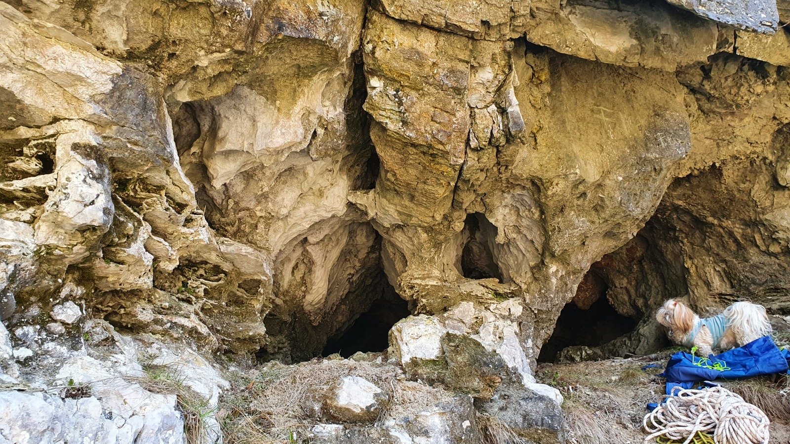 Intrare foto Lidia Dragomir