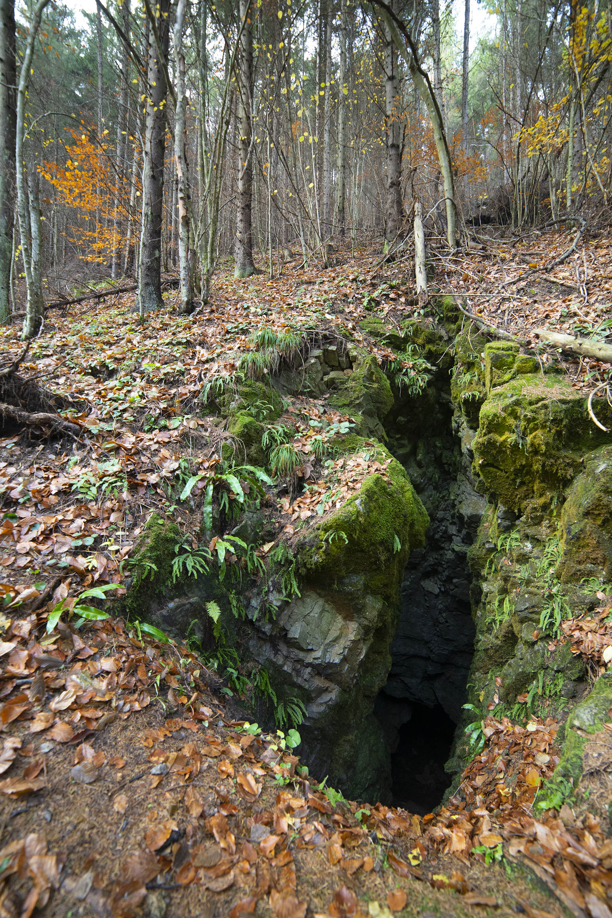 Peştera din Valea Seacă - Image 1