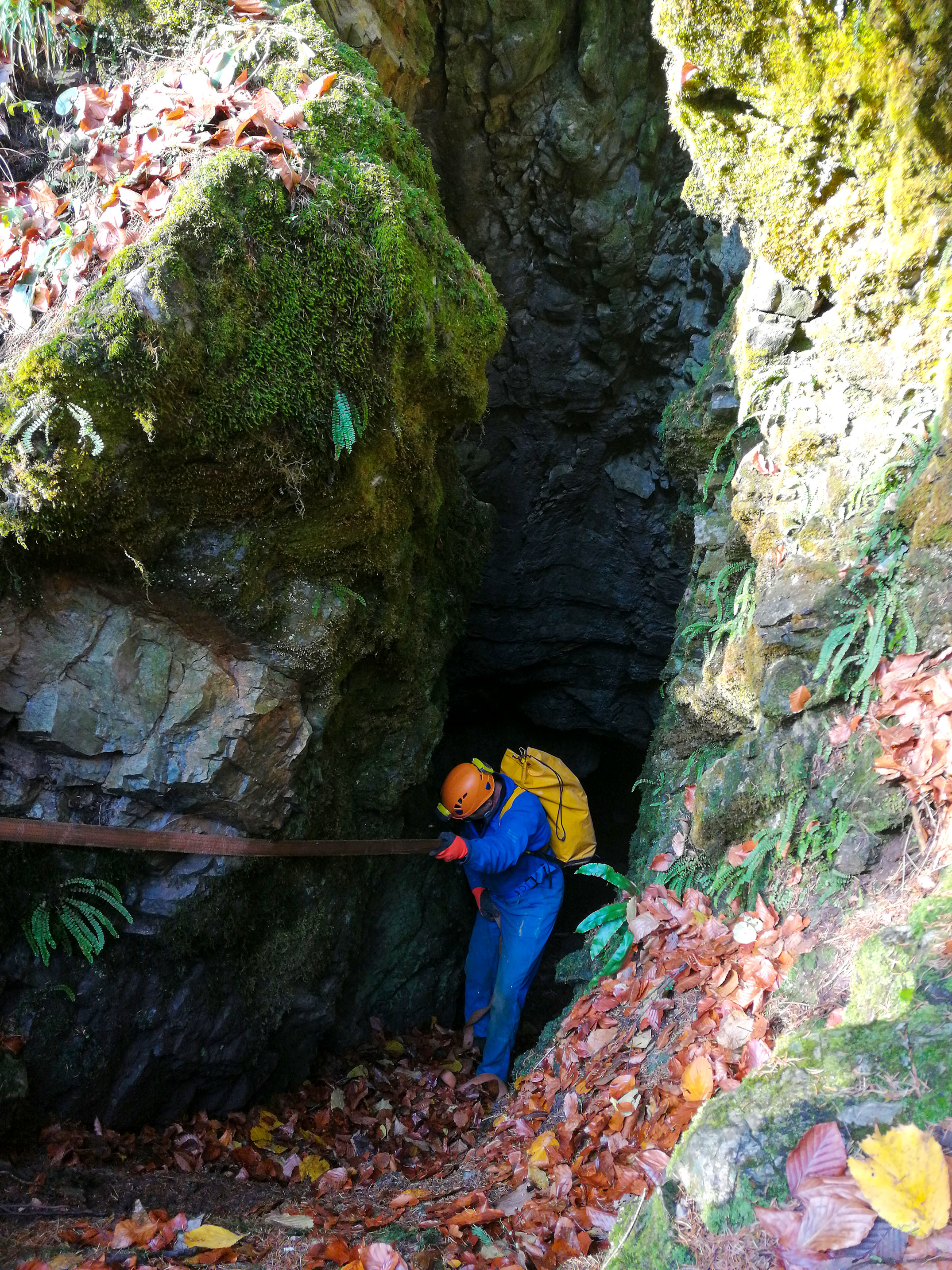 Peştera din Valea Seacă - Image 6