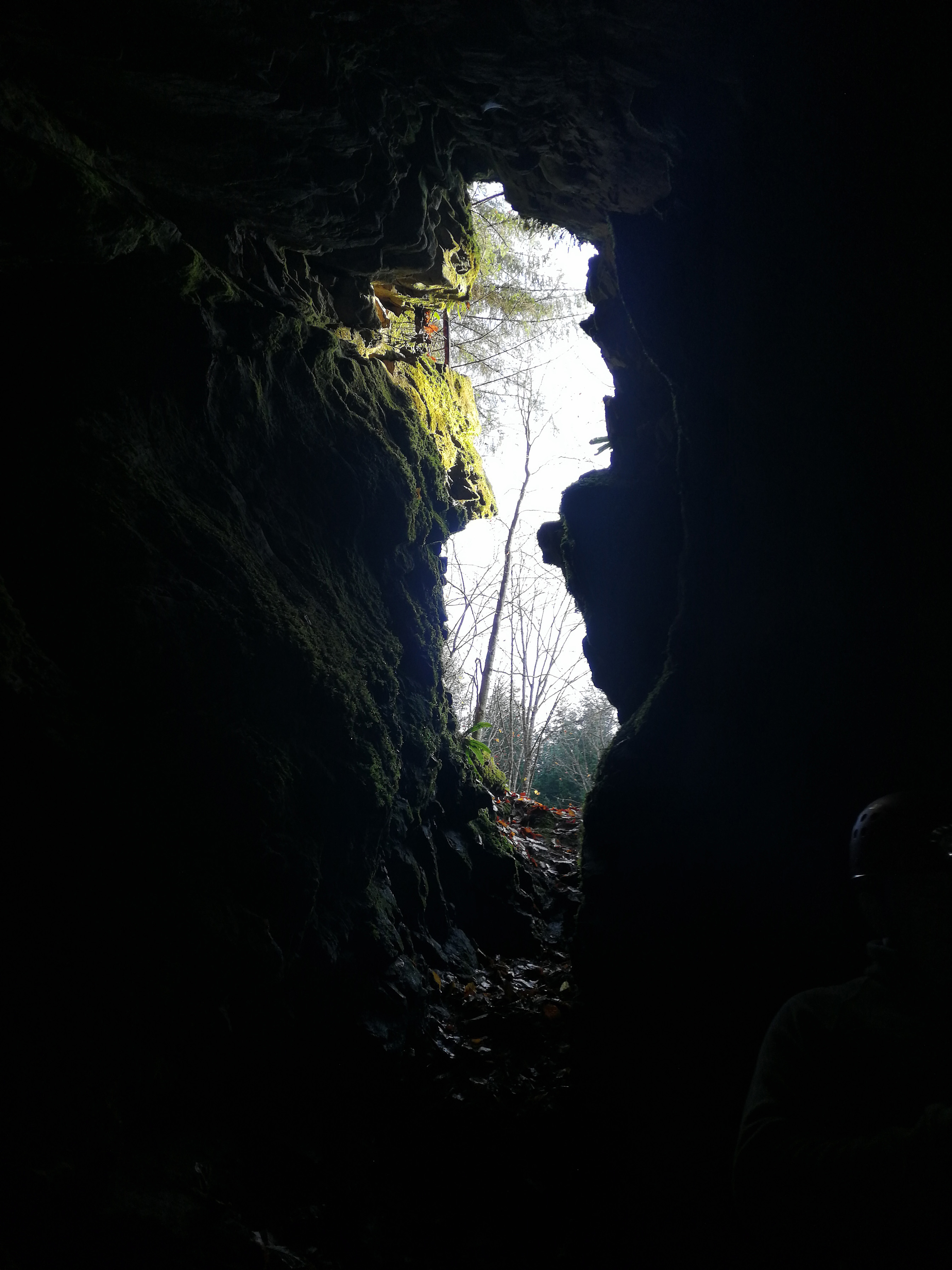 Peştera din Valea Seacă - Image 5