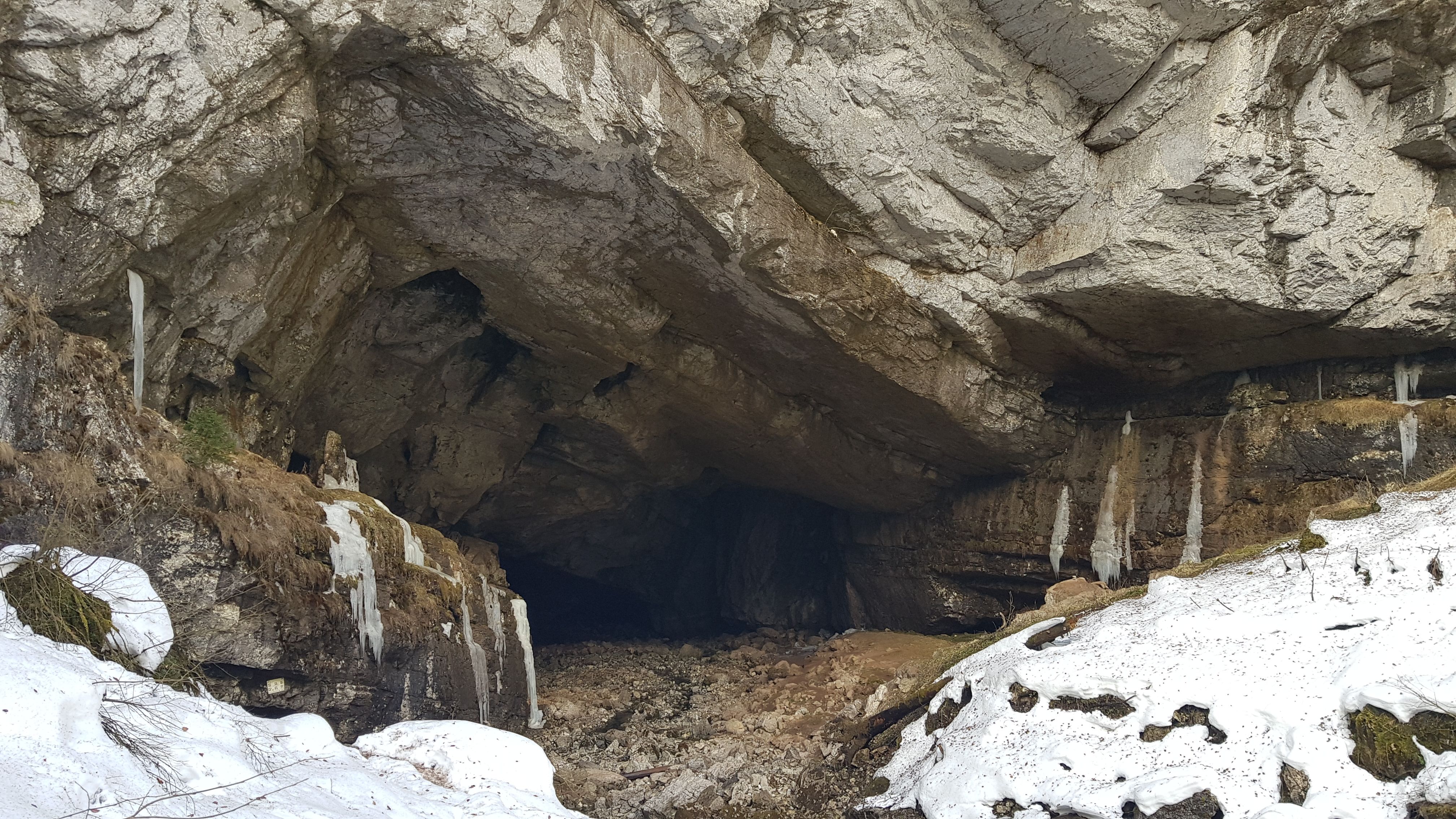 Intrare Coiba Mare - aprilie 2026, foto: Răzvan Dumbravă
