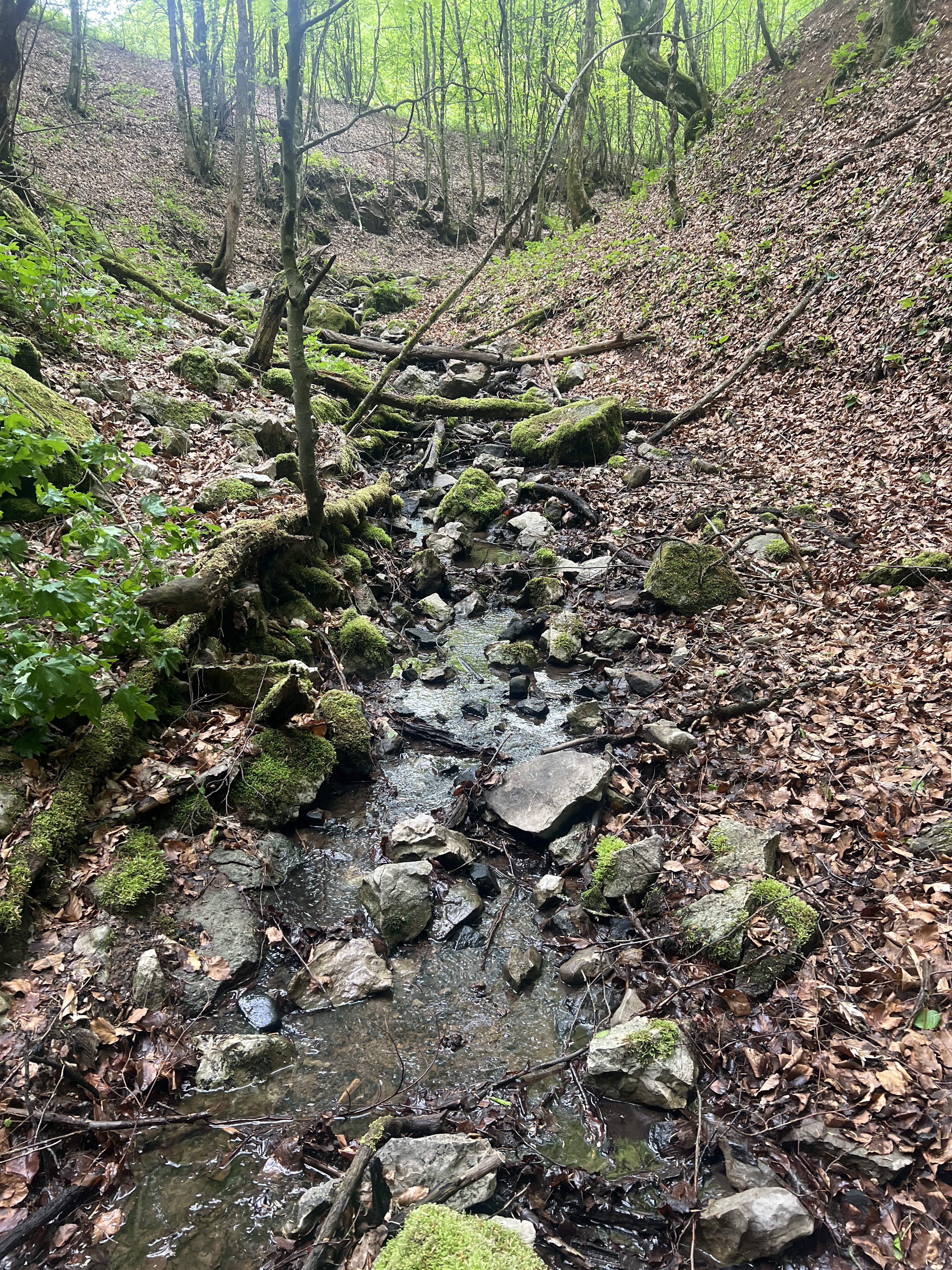 Sistemul Ciur Ponor - Toplița de Roșia, credit foto: Razvan Dumbrava
