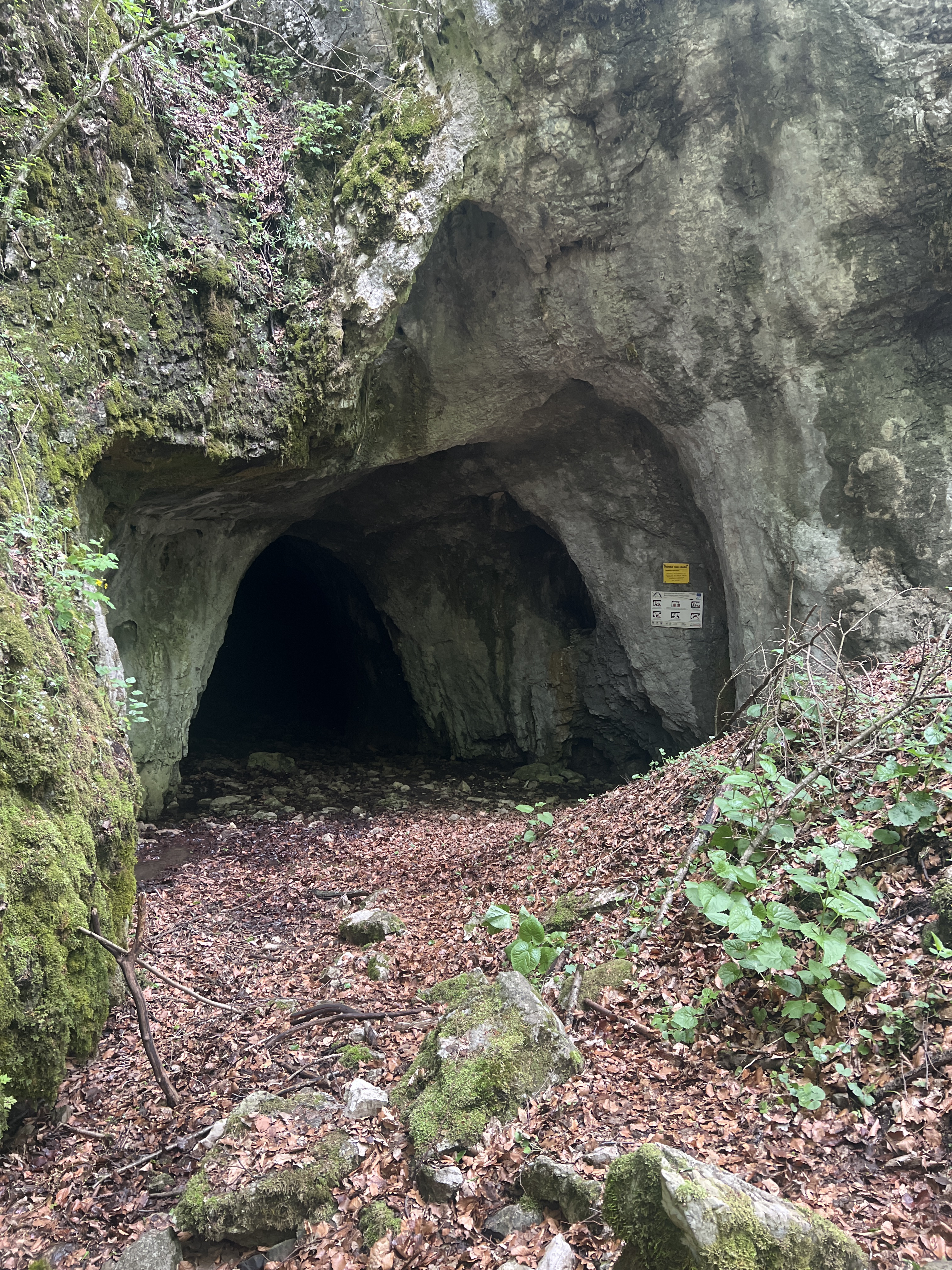 Sistemul Ciur Ponor - Toplița de Roșia, credit foto: Razvan Dumbrava