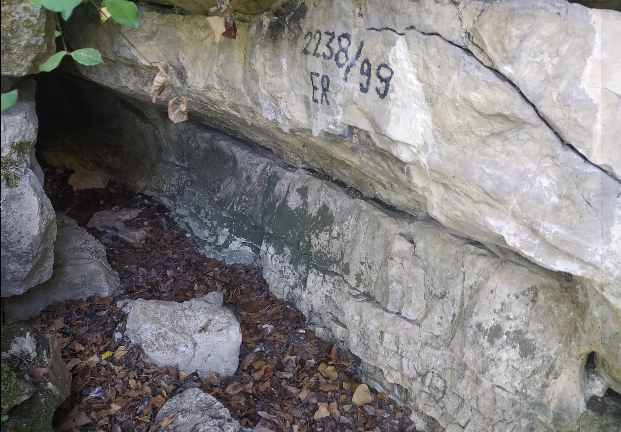 Peștera Nr.3 din Dealul Cioplaia. Foto: Octavian Stanescu