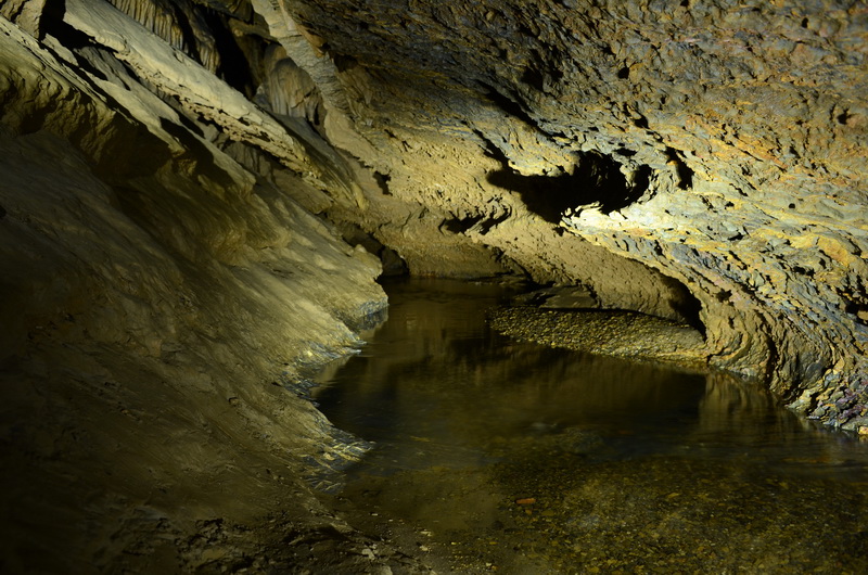 Peștera din Valea Luncii - Dumbraviţa de Codru - Foto: Cristian Davidovici
