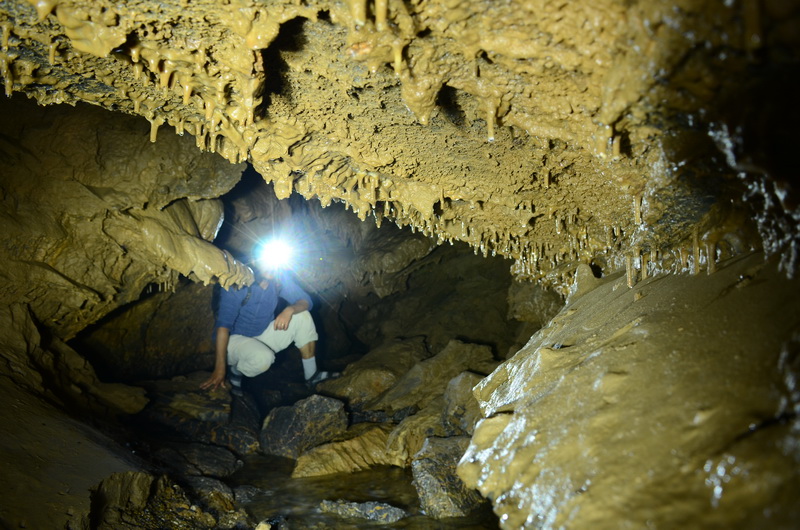 Peștera din Valea Luncii - Dumbraviţa de Codru - Foto: Cristian Davidovici