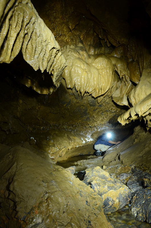 Peștera din Valea Luncii - Dumbraviţa de Codru - Foto: Cristian Davidovici