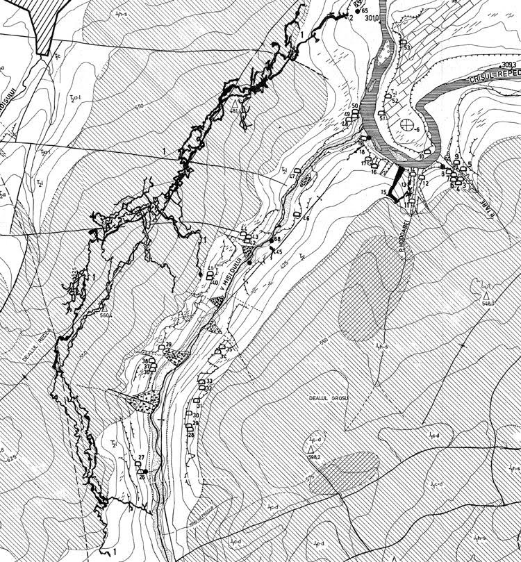 Peştera Vântului. Extras din Zona Şuncuiuş - Mişid, plan geomorfologic 1981, de Adrian Iurkiewicz şi Liviu Vălenaş.