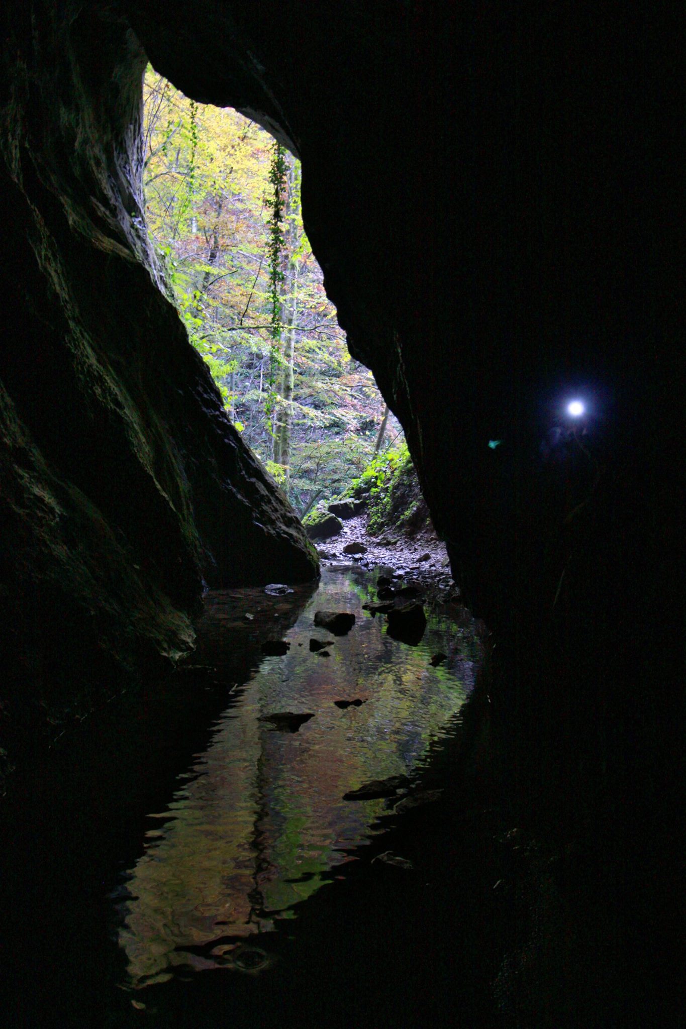 Pestera Pisolca - Valea Sighistelului Foto: Stanescu Octavian