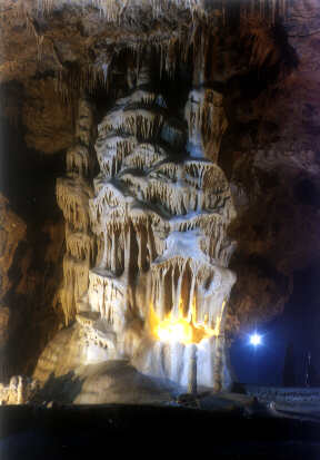 Peştera din Jos de Ponorul Fuşteica - Image 1