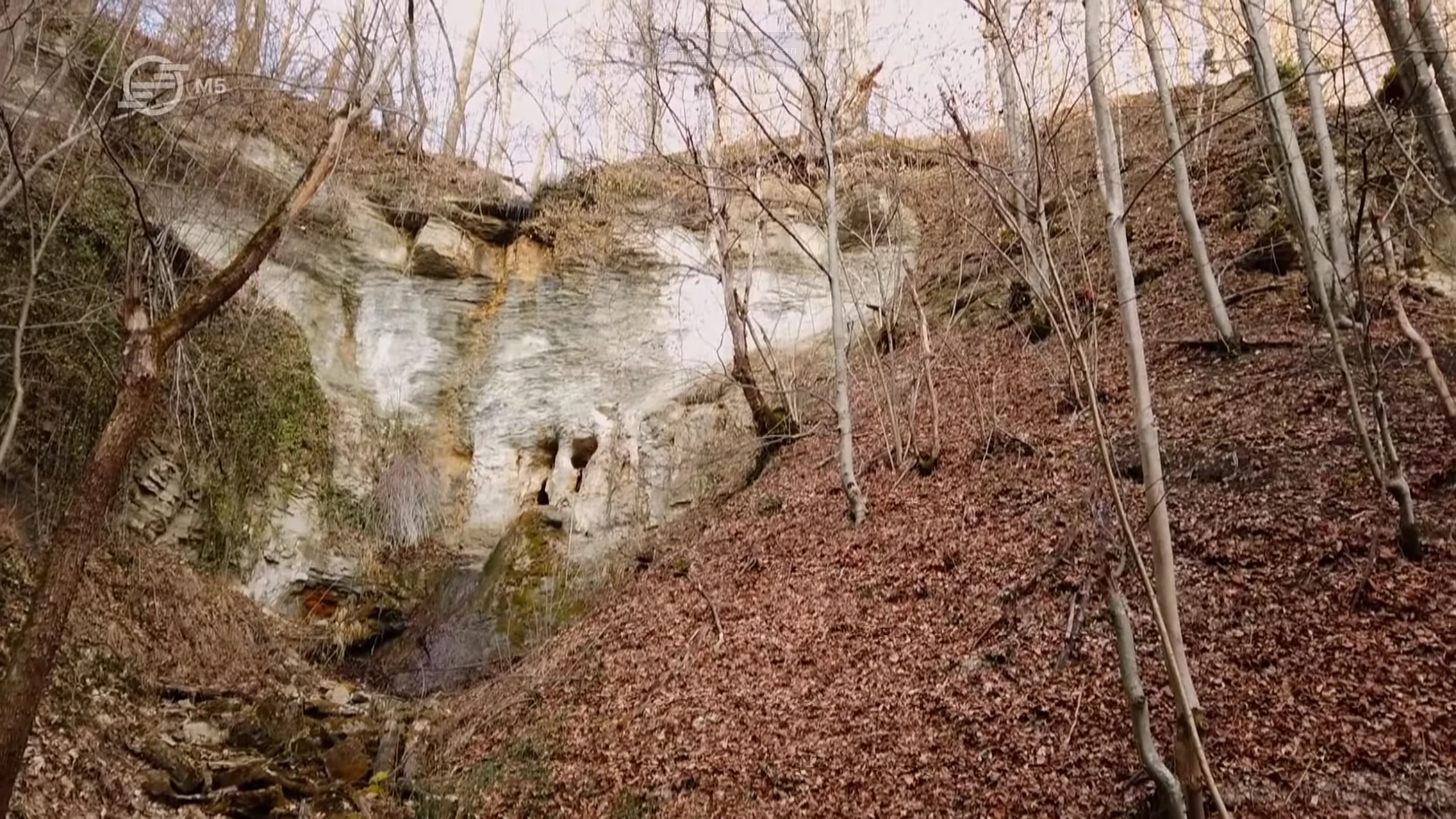 Pestera de la Cascadele Meses (Treznea) - Image 3