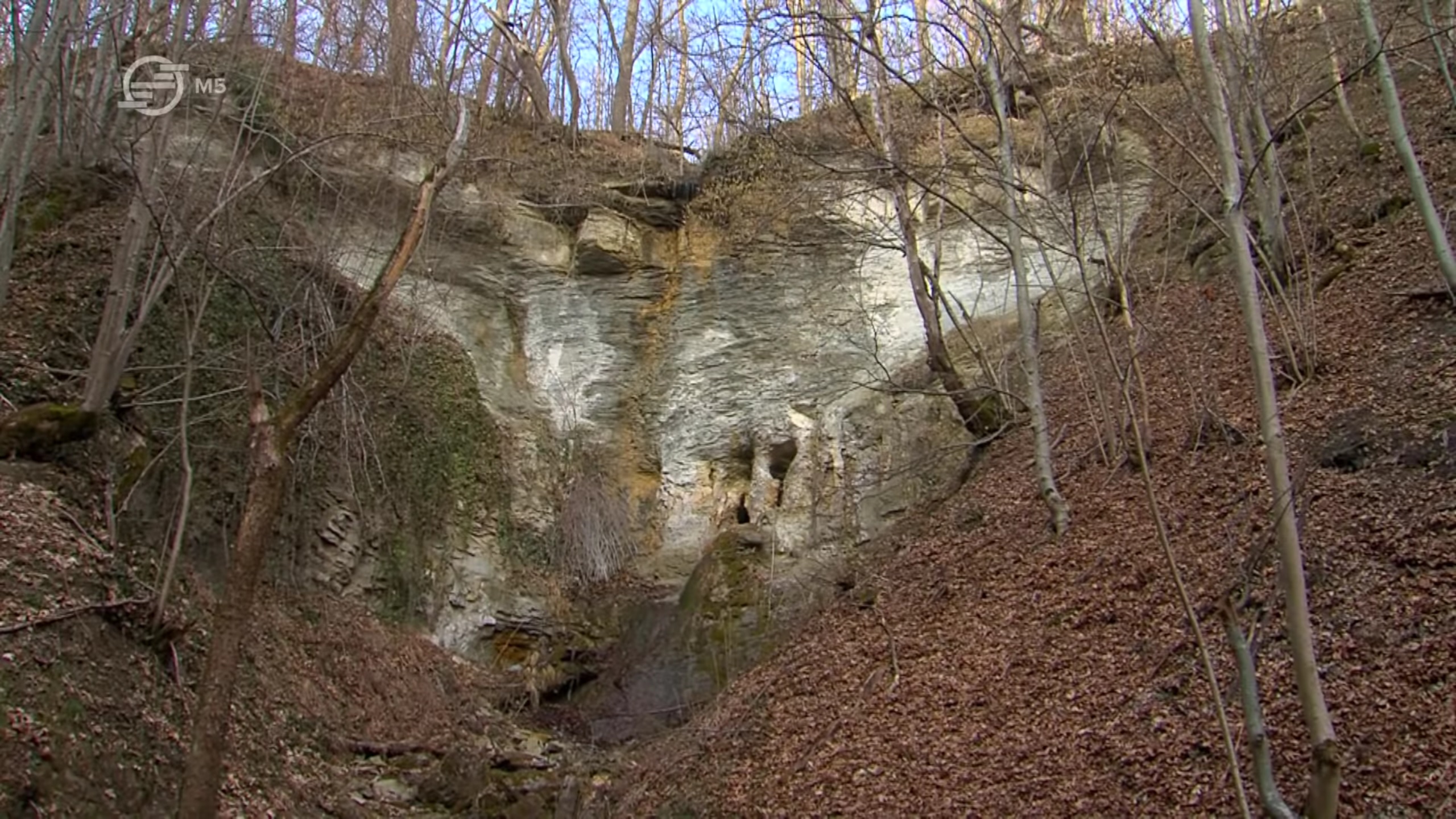 Pestera de la Cascadele Meses (Treznea) - Image 2