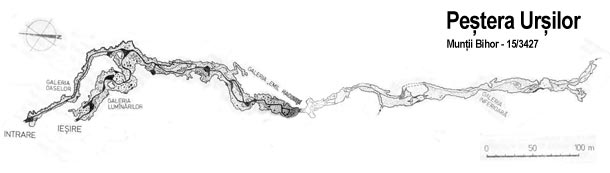 Pestera Ursilor - Chiscau