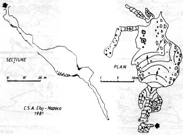 Avenul din Ciungii Scoci Avenul din Ciungii Scoci