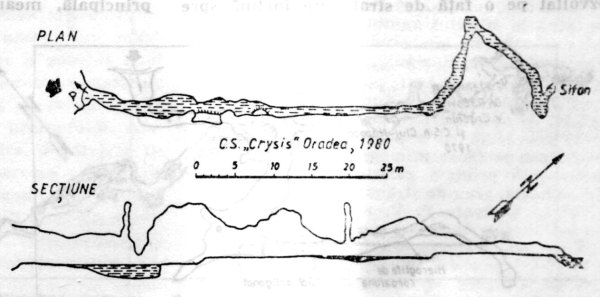 Peştera cu Apa din Valea Videi