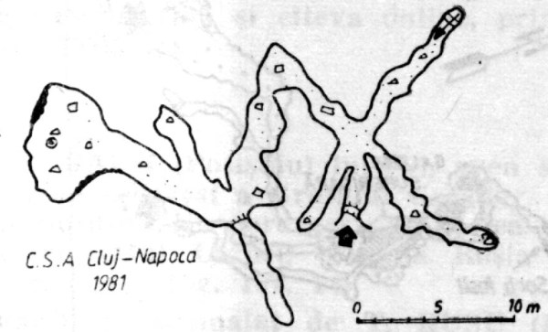 Pestera de la Firez Pestera de la Firez