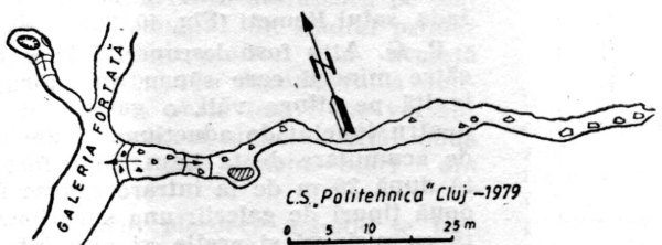 Pestara din Galeria Fortata