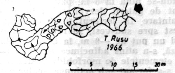 Pestera Liliacului Pestera Liliacului