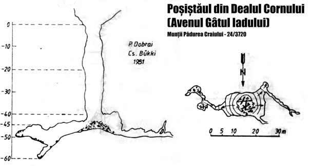 Posistaul din Dealul Cornului Posistaul din Dealul Cornului