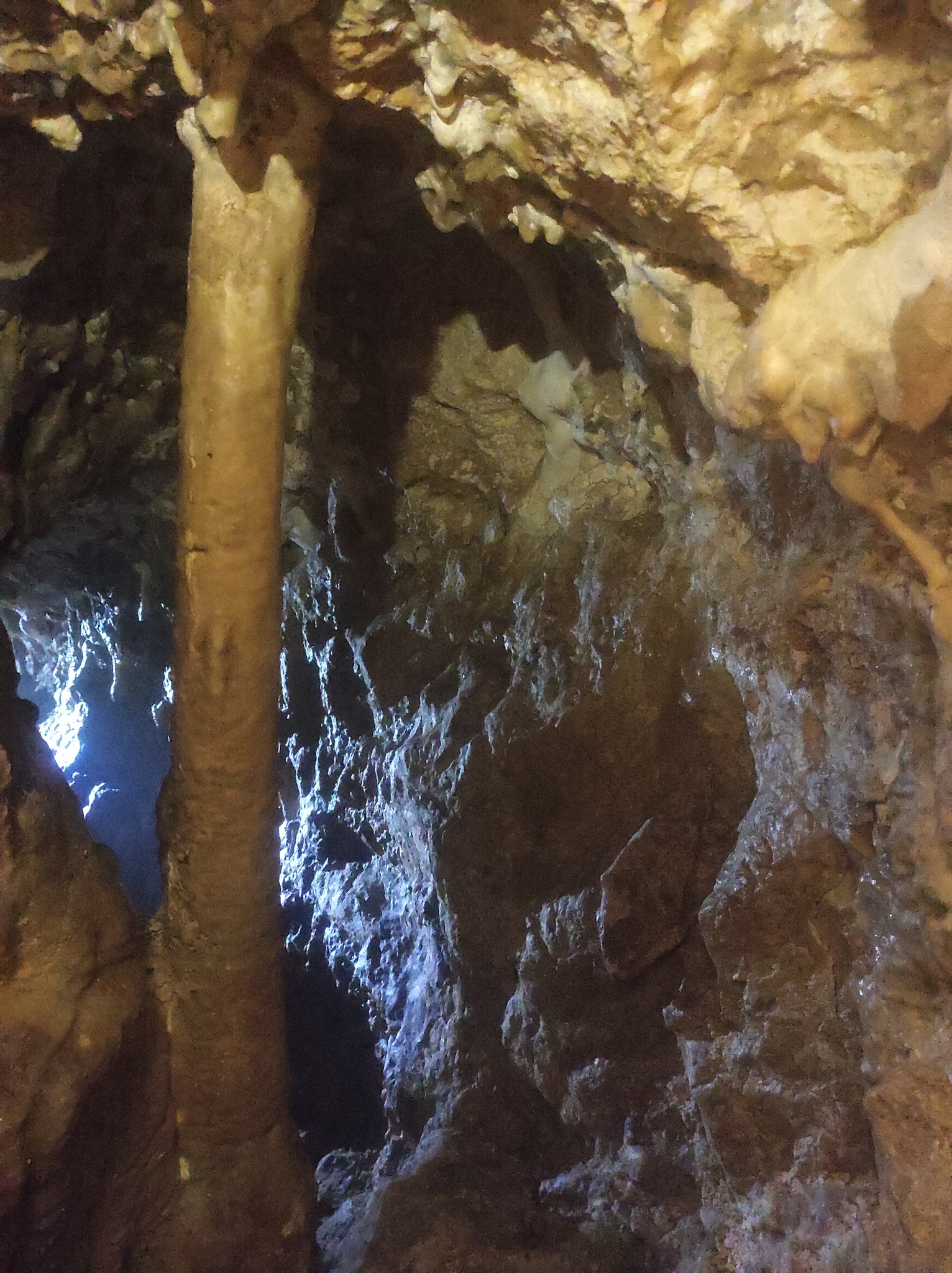 Explorare în Peștera din Crângul Ciorii - 2