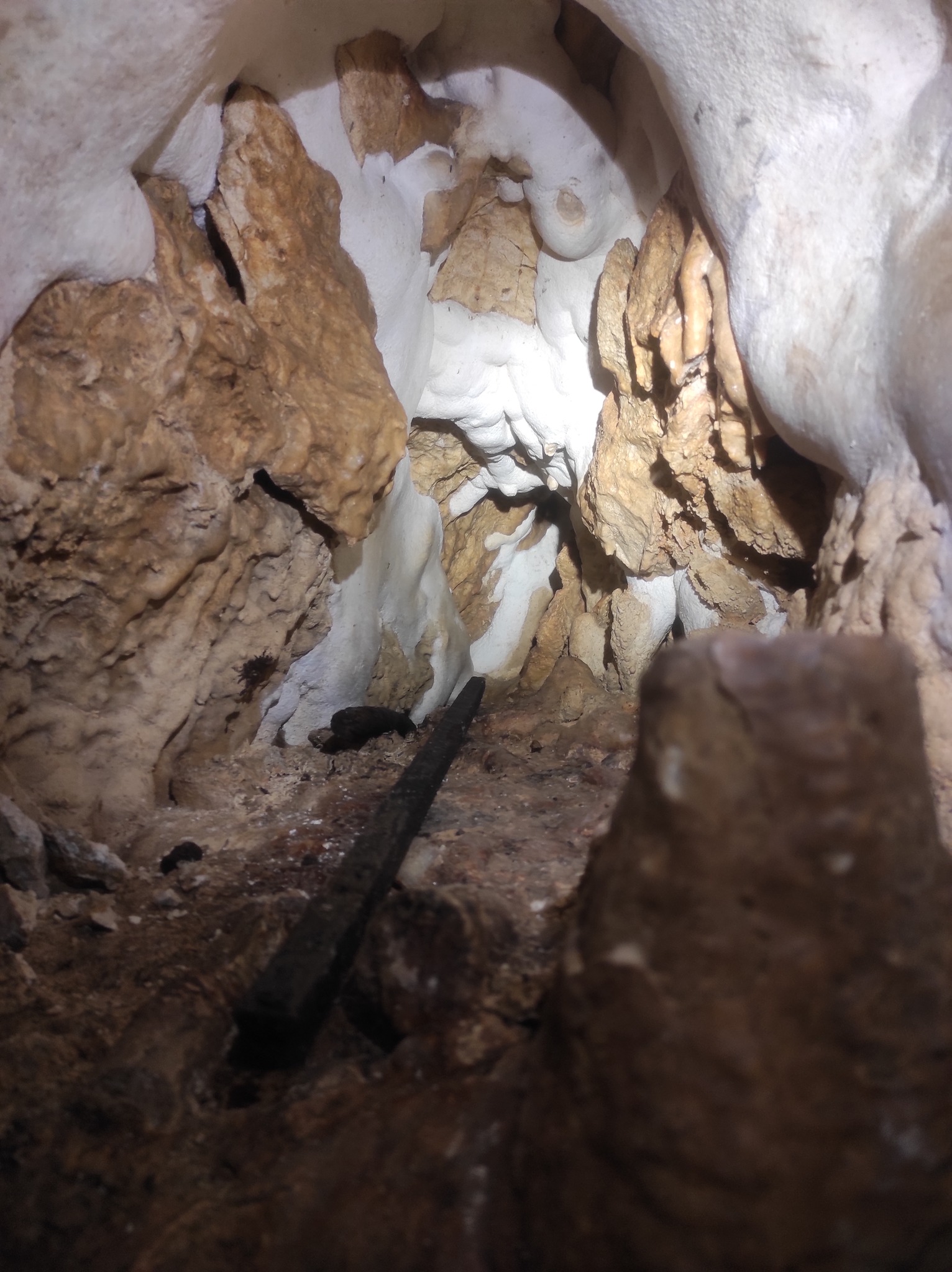 Explorare în Peștera din Crângul Ciorii - 7