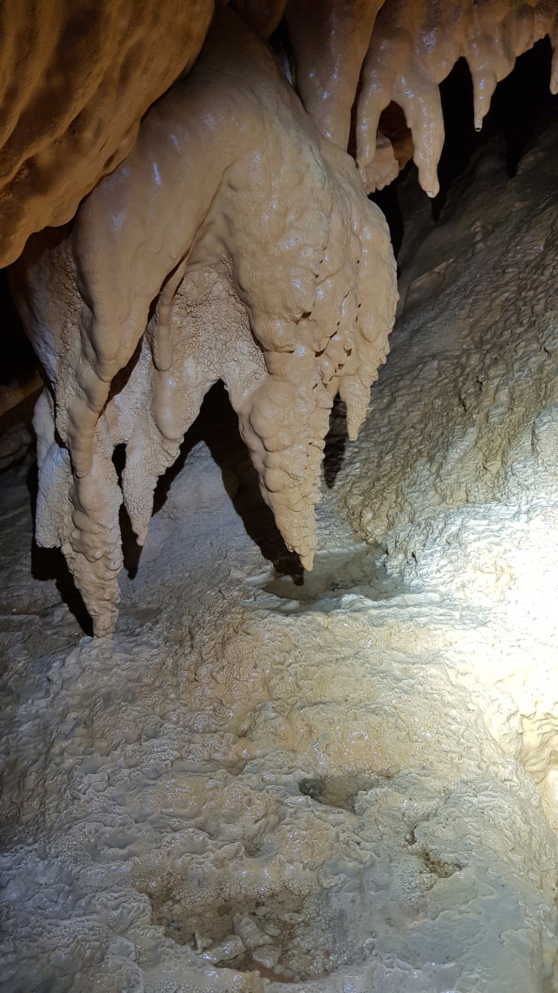 Explorare în Peștera Martel - 13