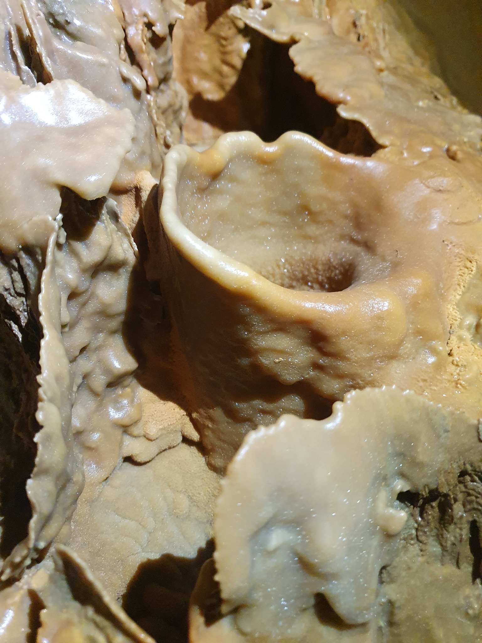 Explorare în Peștera Martel - 14