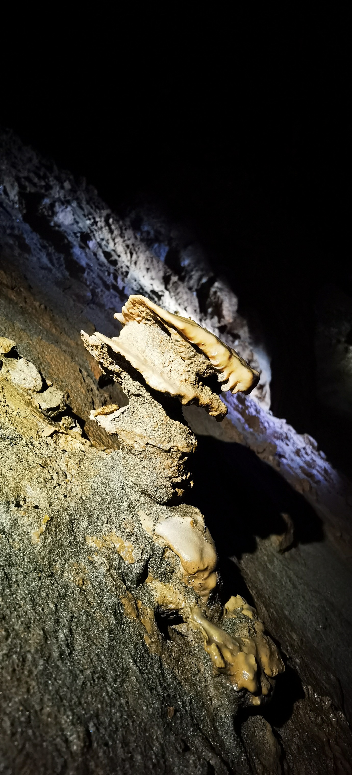 Explorare în Peștera Martel - 16