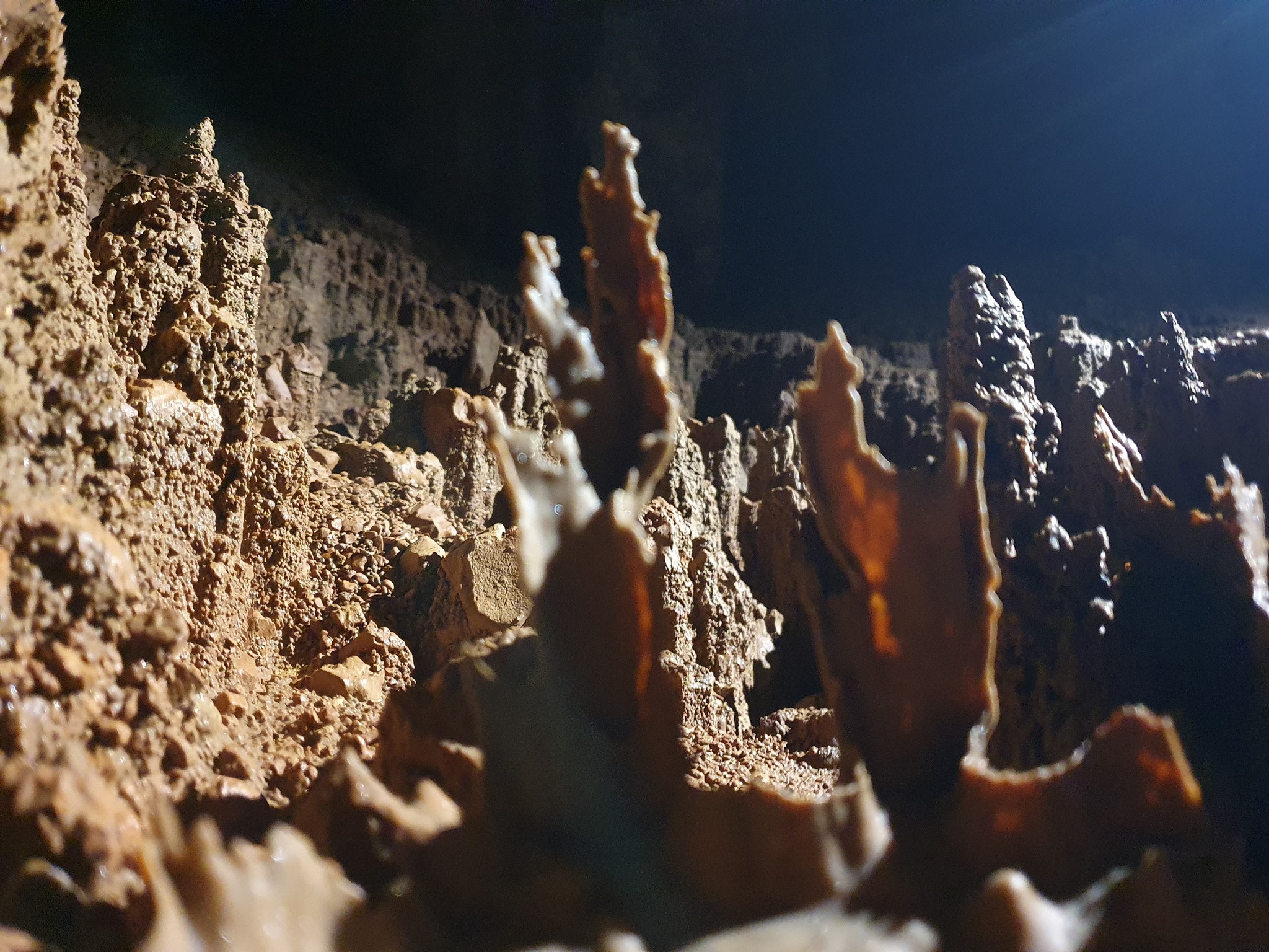 Explorare în Peștera Martel - 19