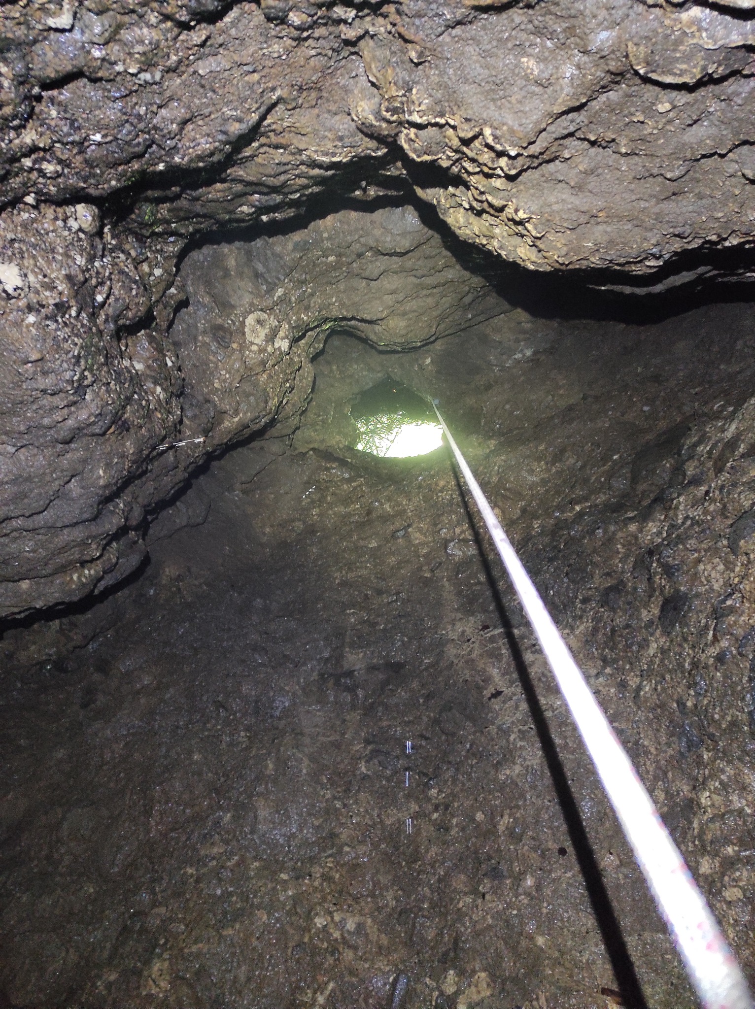 (Avenul) Gaura Bârnoaiei a ajuns la -89 m! - 4