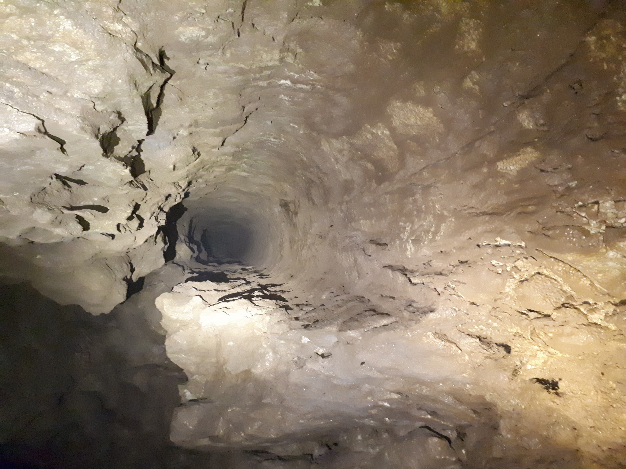 (Avenul) Gaura Bârnoaiei a ajuns la -89 m! - 16