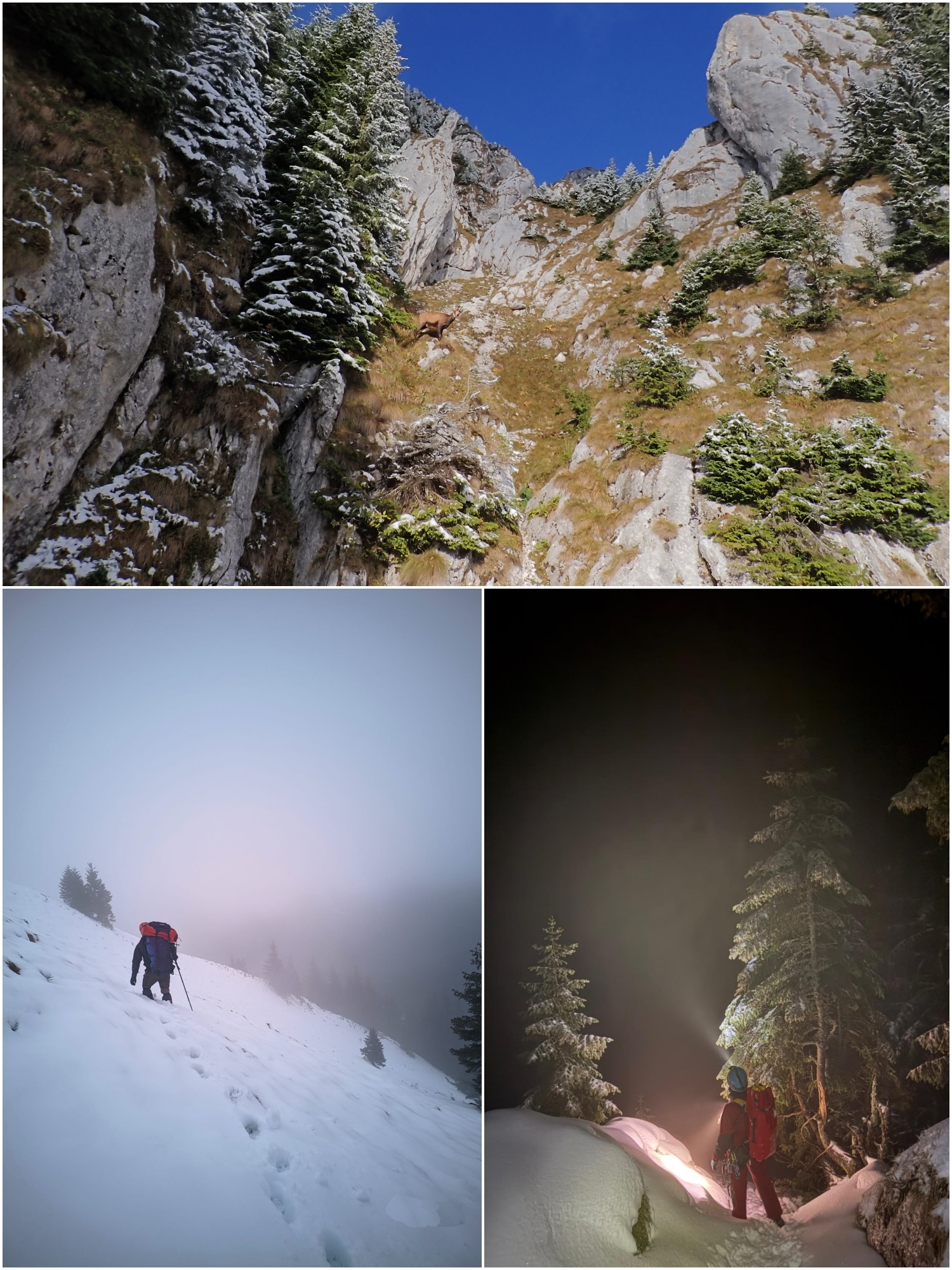 Tabăra de explorare speologică internațională #grind2025 - 6