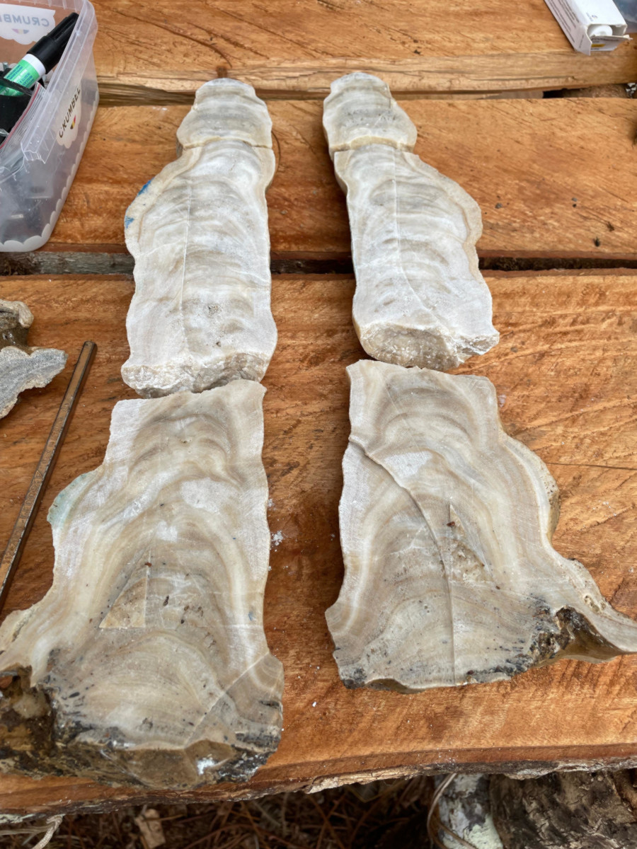 Expediția internațională Mayang 2026 - Papua Noua Guinee - 6